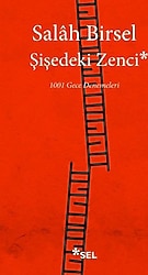 Şişedeki Zenci - Salah Birsel