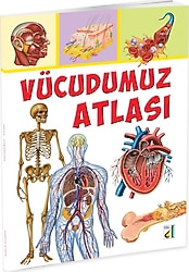 Vücudumuz Atlası - Vincenzo Umano