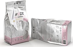 01Cat Kedi Kumu