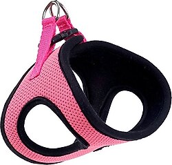 Actirex Neon Moov 3XS Köpek Göğüs Tasması