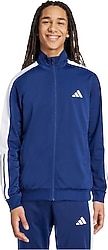 Adidas Colorblock Erkek Eşofman Üstü