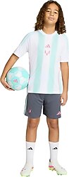 Adidas Messi KD6404 Çocuk Futbol Şortu