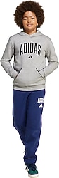 Adidas Seasonals Essentials Collegiate Typography JV7336 Kapüşonlu Çocuk Sweatshirt