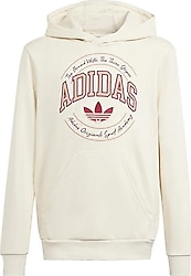 Adidas VRCT IN0623 Kapüşonlu Çocuk Sweatshirt