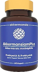 Akkermansiam Muciniphila Plus 60 Kapsül