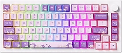 Akko MOD007-HE PC Purple Melody RGB TKL Cream Yellow Magnetic Kablolu Mekanik Oyuncu Klavyesi