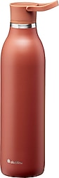 Aladdin CityLoop 600 ml Paslanmaz Çelik Su Şişesi