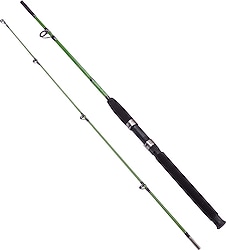 Alba Star Curve 1025 180 cm 20 lbs 2 Parçalı Olta Kamışı