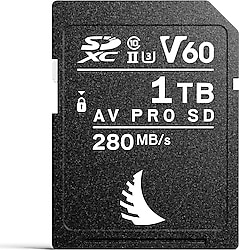 Angelbird AV PRO SE CFexpress Type-B 1 TB Hafıza Kartı Fiyatları