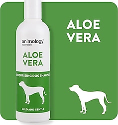 Animology Essentials Aloe Veralı 250 ml Köpek Şampuanı