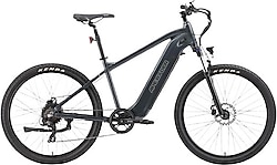 Ape Ryder Buffalo 250 W Elektrikli Bisiklet