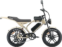 Ape Ryder Mandrill 1000 W Elektrikli Bisiklet