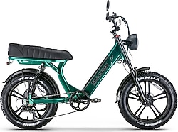 Ape Ryder MD10 Premium 750 W Elektrikli Bisiklet