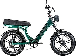Ape Ryder MD10 250 W Yeşil İki Kişilik Elektrikli Bisiklet
