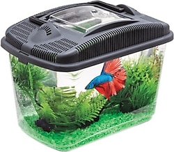 Aquael Betta Kit
