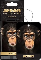 Areon Wild Professor Asma Araba Kokusu