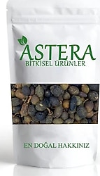 Astera Defne Tohumu 1 kg