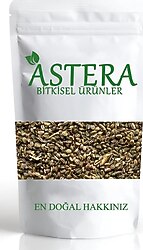 Astera Kereviz Tohumu 500 gr
