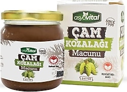 Asya Vital Çam Kozalağı Macunu 240 gr