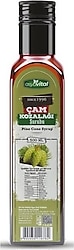 Asya Vital Çam Kozalağı Şurubu 500 ml