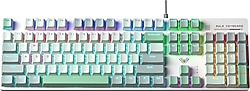 Aula S500 RGB %100 Blue Switch Kablolu Mekanik Oyuncu Klavyesi