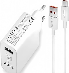 Auris ARS-CH33 33 W Type-C Kablolu Hızlı Şarj Aleti