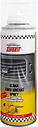 Autokit 200 ml Klima Koku Giderici