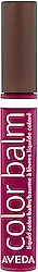 Aveda Feed My Lips Pure Nourish-Mint Color Balm 06 Snap Dragon