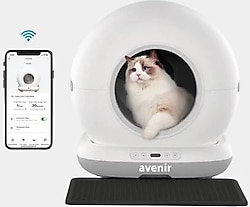 Avenir Kedi Tuvaleti