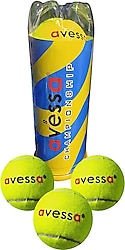 Avessa TT-600 3 lü Kutu Tenis Topu