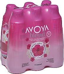 Avoya Blend Hibisküs Meyveli Maden Suyu 6x250 ml