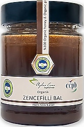 Ayhan Ercan Organik Zencefilli Bal 330 gr