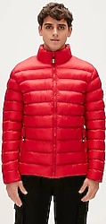 Bad Bear Mont