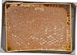 Balsev Seksiyon Karakovan Petek Balı 500 gr