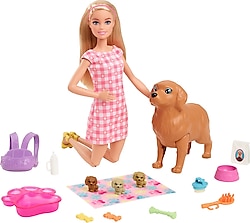 Barbie ve Yeni Doğan Köpekler Oyun Seti HCK75