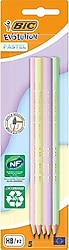 Bic Evolution Pastel 5'li Kurşun Kalem