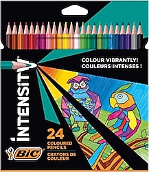 Bic Intensity 24'lü Kuru Boya Seti