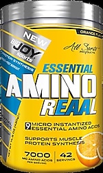 BigJoy Essential Amino Reaal 420 gr Portakal