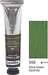 Bigpoint 45 ml Yağlı Boya 569 Olive Green