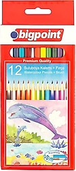 Bigpoint Aquarelle 12'li Fırçalı Sulu Boya Kalemi