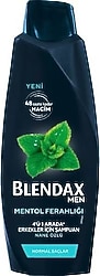 Blendax Men Mentol Ferahlığı 4'ü 1 arada 470 ml Şampuan