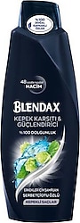 Blendax Erkekler için Kepek Karşıtı Şampuan 500 ml