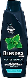 Blendax Men Mentol Ferahlığı 4'ü 1 arada 500 ml Şampuan