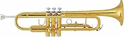 Bonson XTR001 Gold Trompet Seti