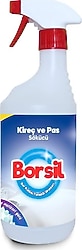 Borsil Kireç Ve Pas Sökücü 800 ml