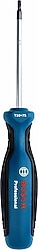 Bosch Profesyonel 1600A01V0A TX 10x75 mm Torx Tornavida