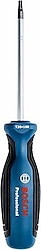 Bosch Profesyonel 1600A01V0C TX 20x100 mm Torx Tornavida