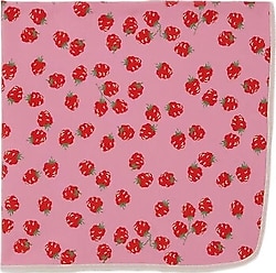 Breeze Frambuaz Desenli 78X88 cm Bebek Battaniyesi