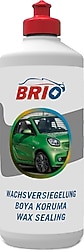 Brio 1 lt Boya Koruma