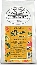 Caffe Corsini Brezilya Santos %100 Arabica Çekirdek Kahve 250 gr